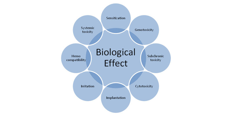 Biocompatibility Biological Effect