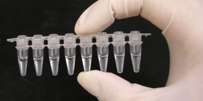 south korea medical device regulations In Vitro Diagnostic
