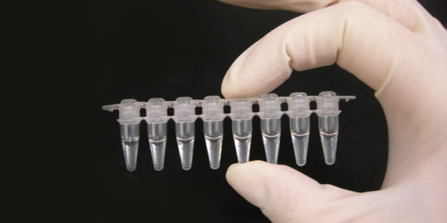 Clinic Medical Device Regulations Clinic