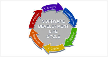 Life Cycle Training